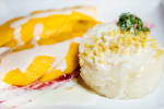 Food Shot 3