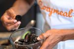 Food Shot 2