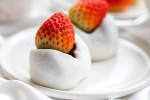 Food Shot 5