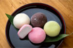 Food Shot 4