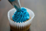 Food Shot 3