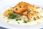 Food Shot 2