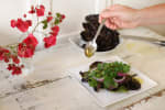 Food Shot 3