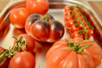 Food Shot 4