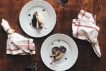 Food Shot 2