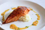 Food Shot 0