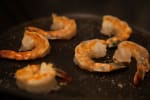 Food Shot 3