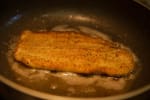 Food Shot 3