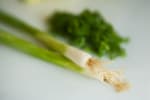 Food Shot 2