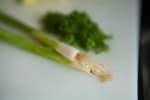 Food Shot 2