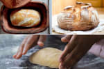 Food Shot 0