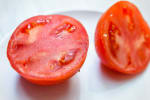 Food Shot 2