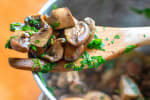 Food Shot 3