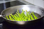 Food Shot 4