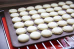 Food Shot 3