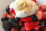 Food Shot 5