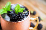 Food Shot 4