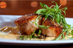 Food Shot 4