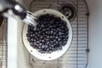 Food Shot 4