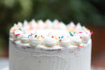 Food Shot 0