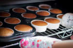 Food Shot 2