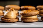 Food Shot 4