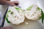 Food Shot 4