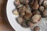 Food Shot 3
