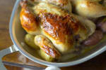 Food Shot 3