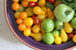Food Shot 4