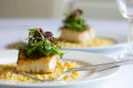 Food Shot 0