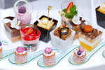 Food Shot 5