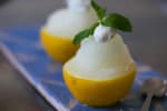 Food Shot 4
