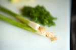 Food Shot 2