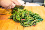 Food Shot 4