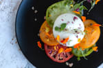 Food Shot 0