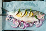 Food Shot 2