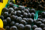 Food Shot 4