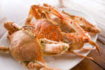 Food Shot 2
