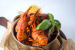 Food Shot 3