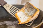 Food Shot 3
