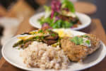 Food Shot 5