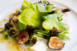 Food Shot 2