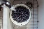 Food Shot 2