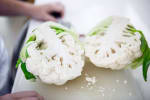 Food Shot 2