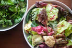 Food Shot 2