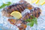 Food Shot 2