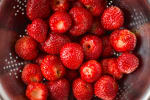 Food Shot 4