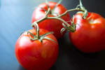 Food Shot 2