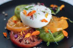 Food Shot 2